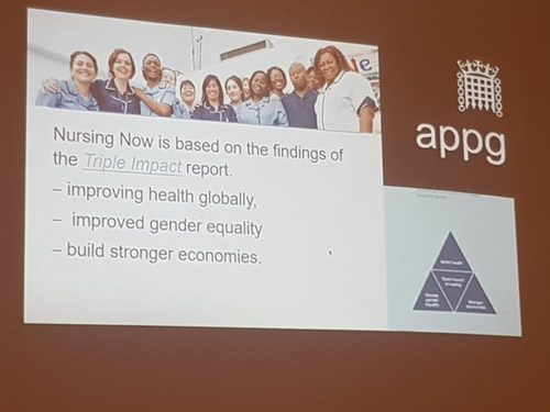 NURSING NOW TRINIDAD AND TOBAGO Tobago pic 1