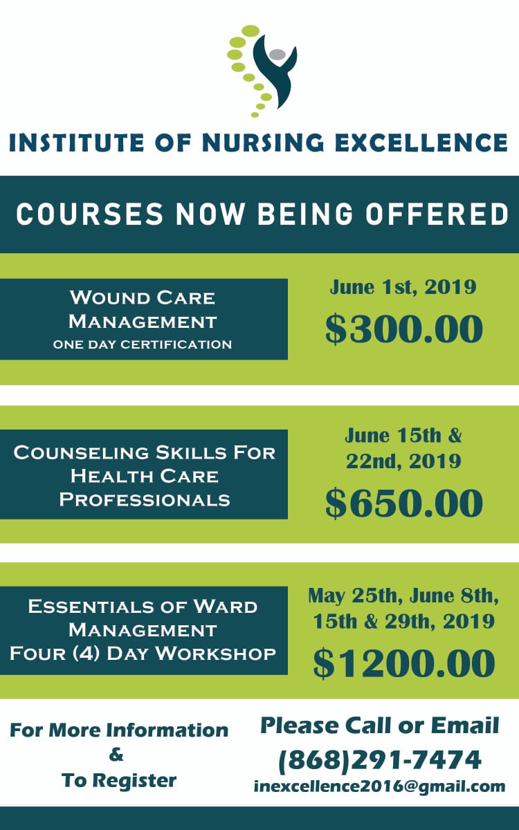 Institute of Nursing Excellence Courses